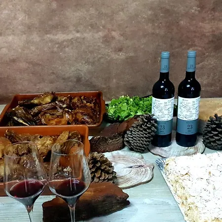 La Puerta Del Rio Lobos Σπίτι διακοπών San Leonardo de Yagüe