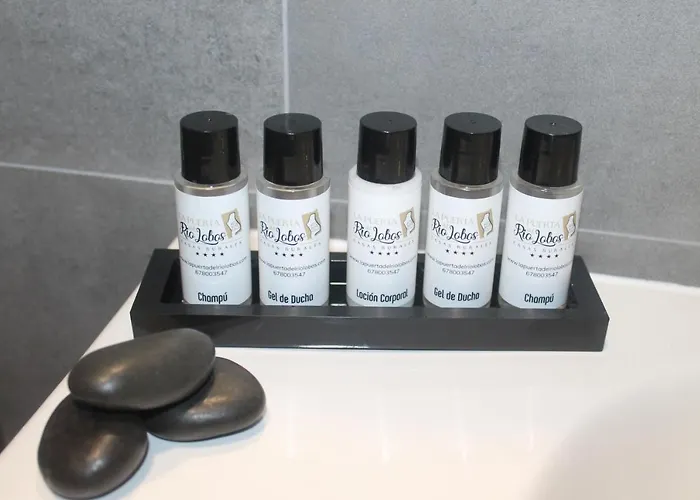 La Puerta Del Rio Lobos *